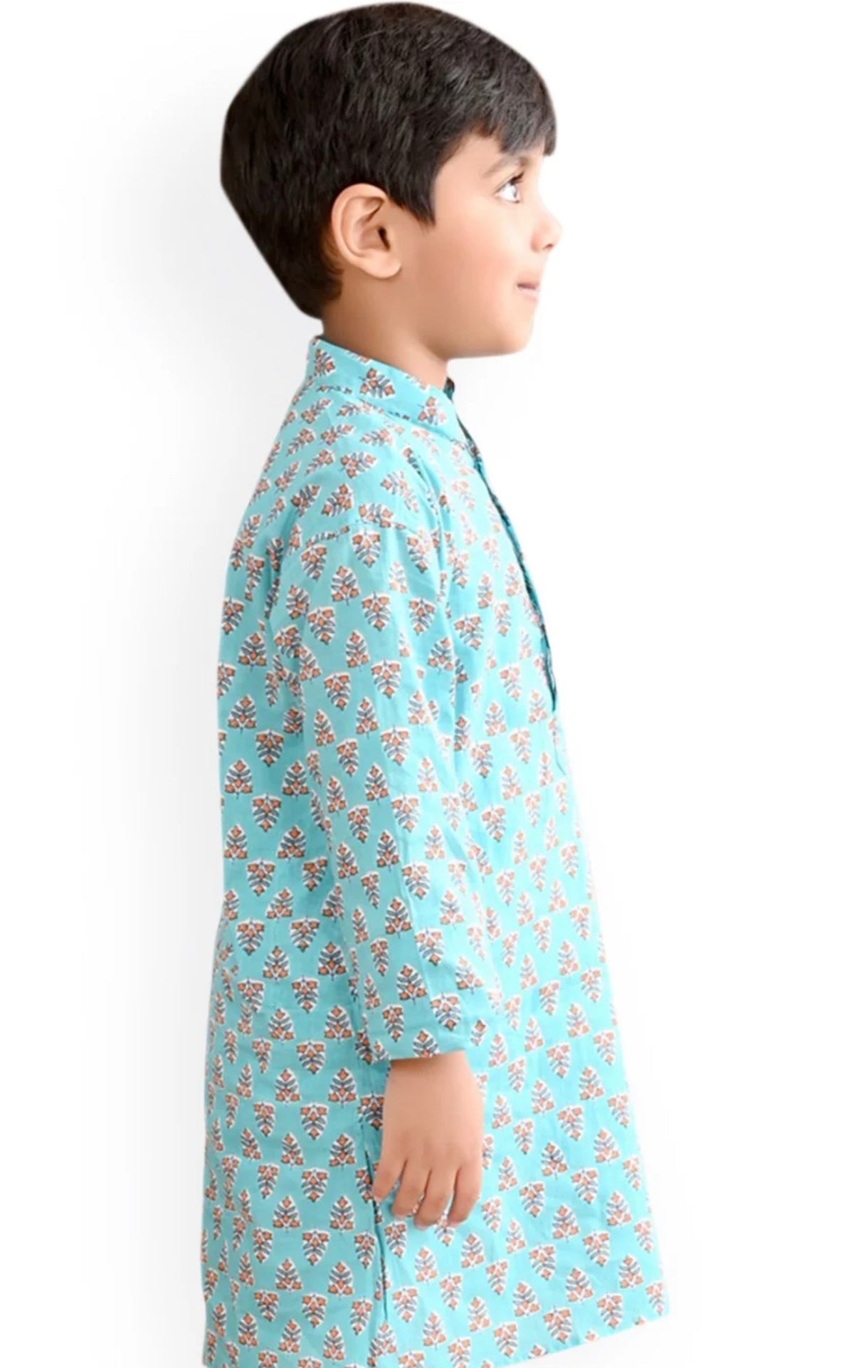 Blue Boys Ethnic Motifs Printed Mandarin Collar Cotton Straight Kurta